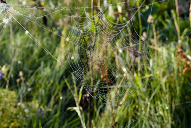 Similar image 21978956