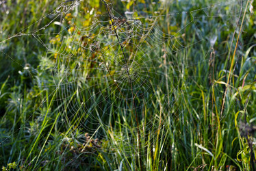 Similar image 21978957