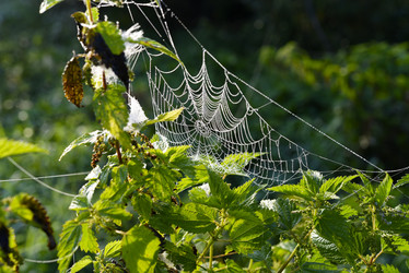 Similar image 21978958