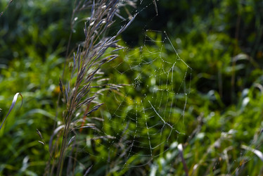 Similar image 21978959