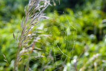 Similar image 21978960