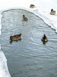 Similar image 21978295