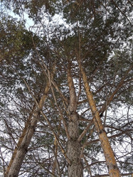 Similar image 21978296