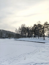 Similar image 21978297