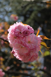 Similar image 21977768