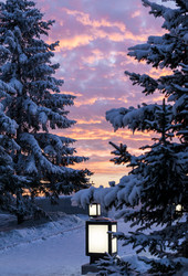 Similar image 21977775