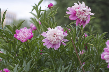 Similar image 21979954