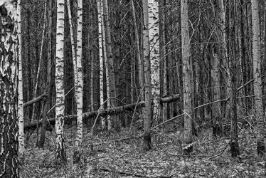 Similar image 21979956