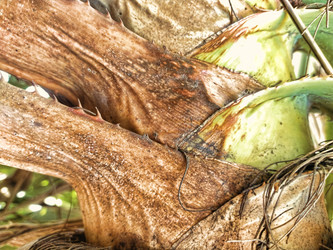 Similar image 21979957