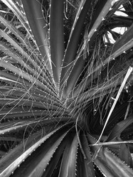 Similar image 21979960