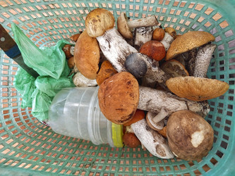 Similar image 21979962