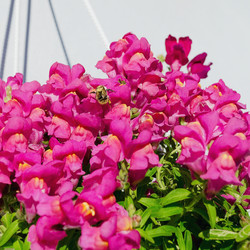 Similar image 21977778