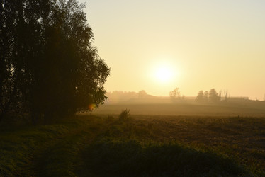 Similar image 21978966