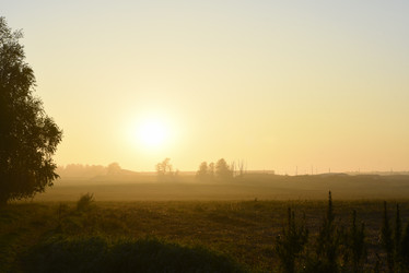 Similar image 21978968