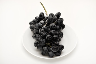 Similar image 21978971