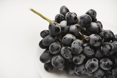 Similar image 21978972