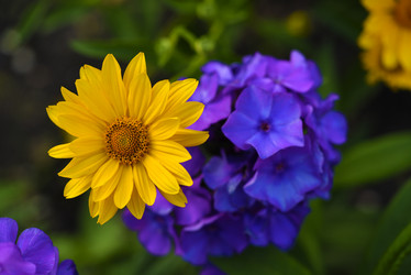 Similar image 21978973