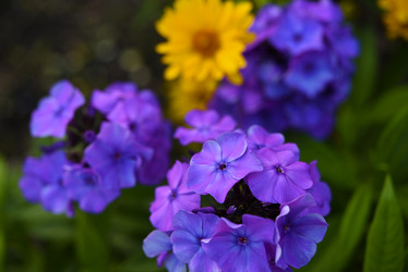 Similar image 21978974