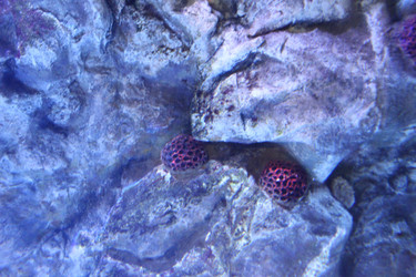 Similar image 21989242