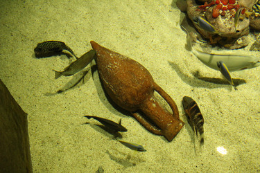 Similar image 21989243