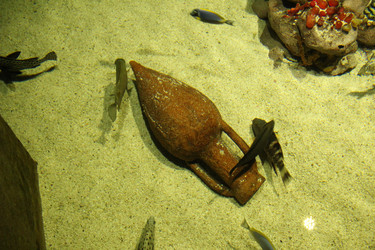 Similar image 21989244