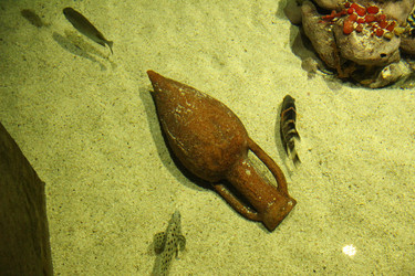 Similar image 21989246