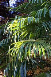 Similar image 21977934