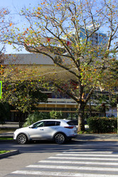 Similar image 21977935