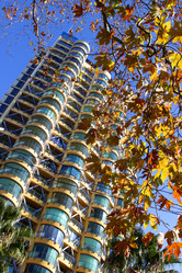 Similar image 21977936