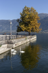 Similar image 21977787