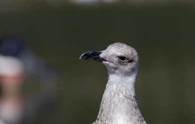 Similar image 21977788