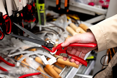 Similar image 21979217