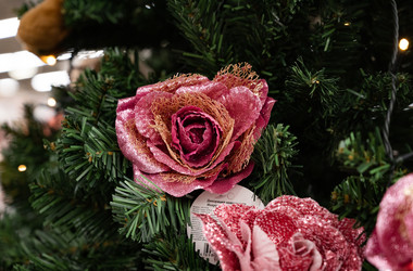 Similar image 21979353