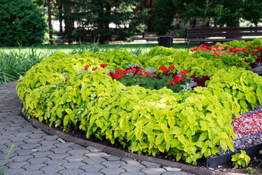 Similar image 21979357