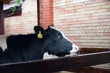 Similar image 21979359