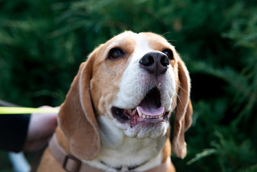 Similar image 21979365