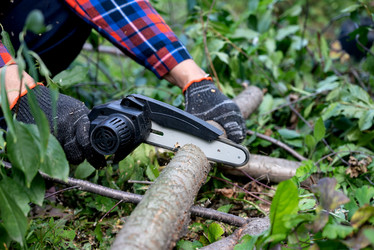 Similar image 21979366