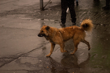 Similar image 21977793