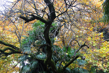 Similar image 21977939