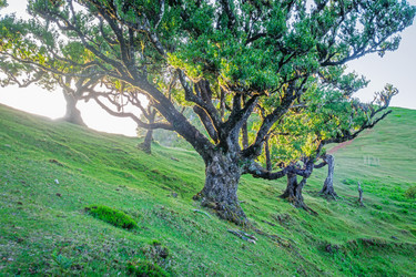 Similar image 21980109