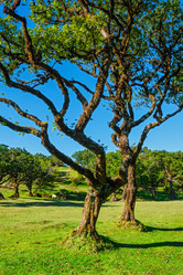 Similar image 21980116