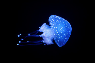 Similar image 21980117