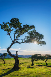 Similar image 21980128