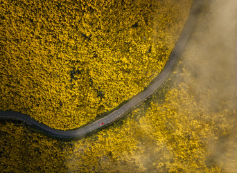 Similar image 21980129