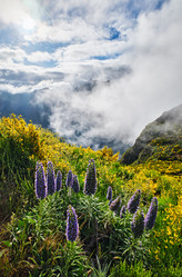 Similar image 21980138