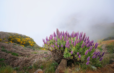 Similar image 21980140