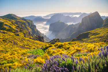 Similar image 21980147