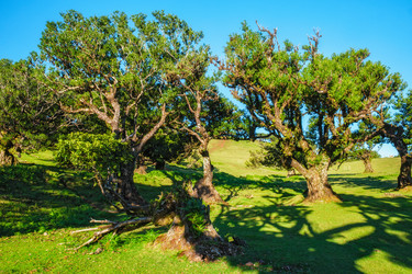 Similar image 21980155