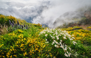 Similar image 21980156