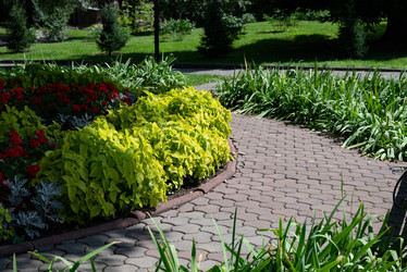 Similar image 21979370